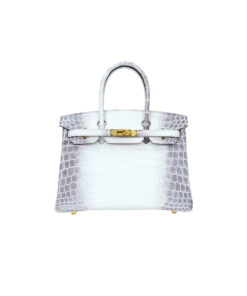 Birkin 30 Himalayan Nile Crocodile