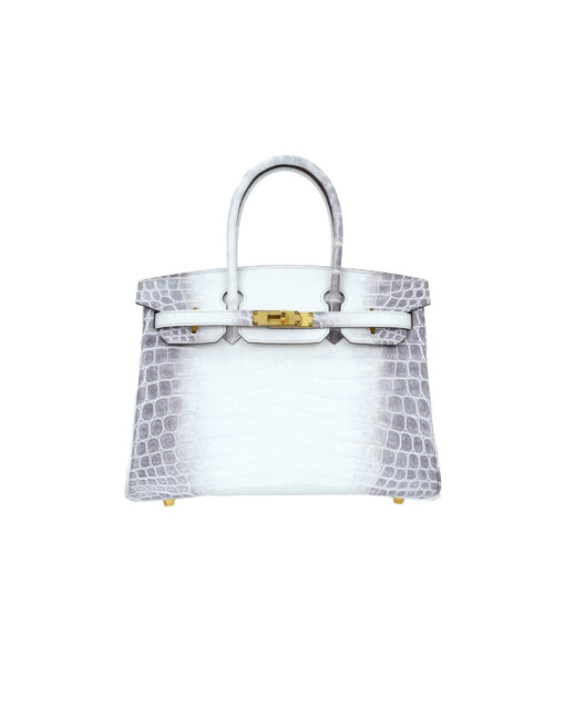 Birkin 30 Himalayan Nile Crocodile