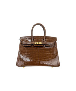 Birkin 25 American Crocodile