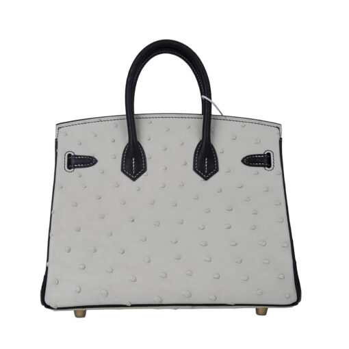 Birkin 25 Ostrich Leather