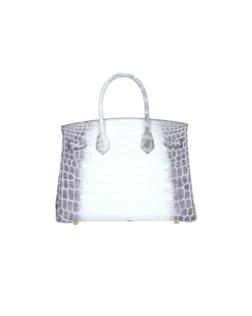 Birkin 30 Himalayan Nile Crocodile