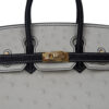 Birkin 25 Ostrich Leather