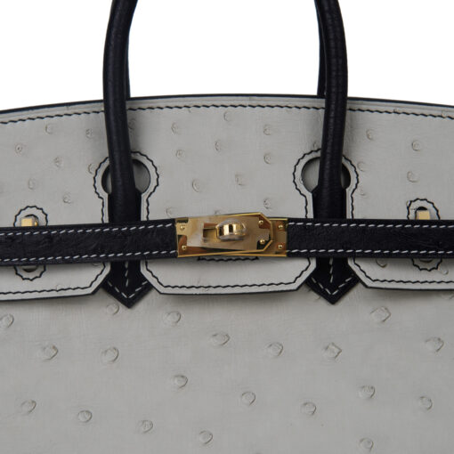 Birkin 25 Ostrich Leather