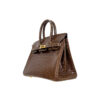 Birkin 25 American Crocodile