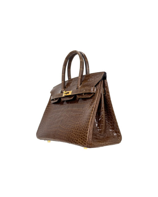 Birkin 25 American Crocodile