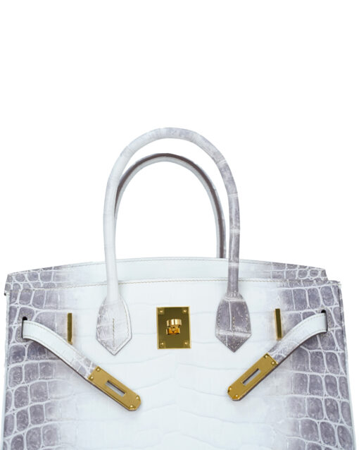 Birkin 30 Himalayan Nile Crocodile
