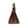 Birkin 25 American Crocodile