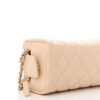Caviar Quilted Toiletry Case With Chain Beige