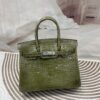 Birkin 30 Porosus Crocodile