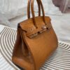 Birkin 30 American Alligator