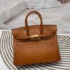 Birkin 25 American Alligator
