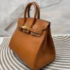 Birkin 25 American Alligator