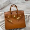 Birkin 25 American Alligator
