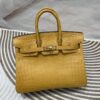 Birkin 25 American Alligator