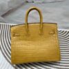 Birkin 25 American Alligator