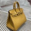 Birkin 25 American Alligator