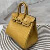 Birkin 25 American Alligator