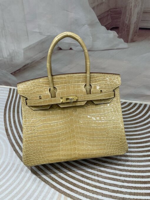 Birkin 30 Porosus Crocodile