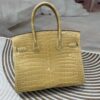 Birkin 30 Porosus Crocodile