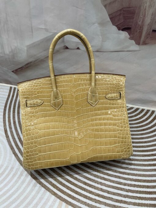 Birkin 30 Porosus Crocodile