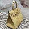 Birkin 30 Porosus Crocodile