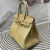 Birkin 30 Porosus Crocodile