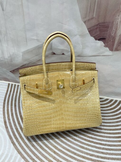 Birkin 30 Porosus Crocodile