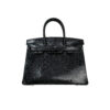 Birkin 30 Lizard