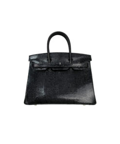 Birkin 30 Lizard