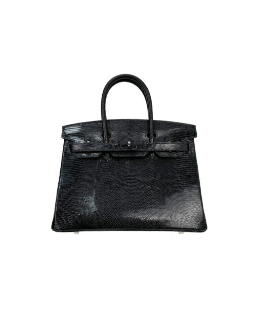 Birkin 30 Lizard
