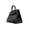 Birkin 30 Lizard