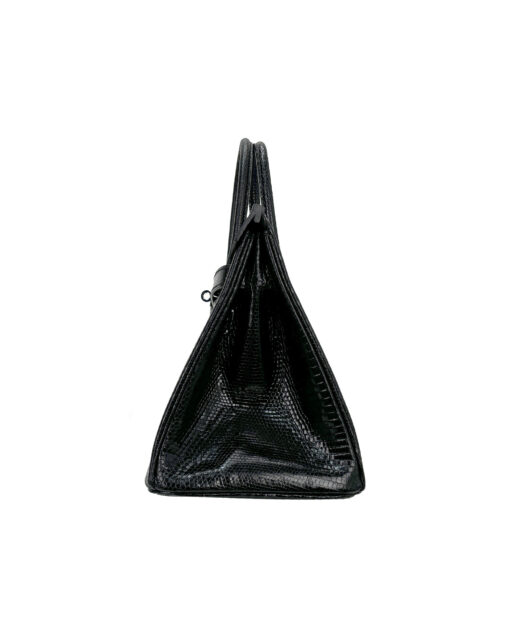 Birkin 30 Lizard