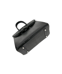 Birkin 30 Lizard